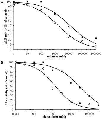 A New Ala-122-Asn Amino Acid Change Confers Decreased Fitness to ALS-Resistant Echinochloa crus-galli